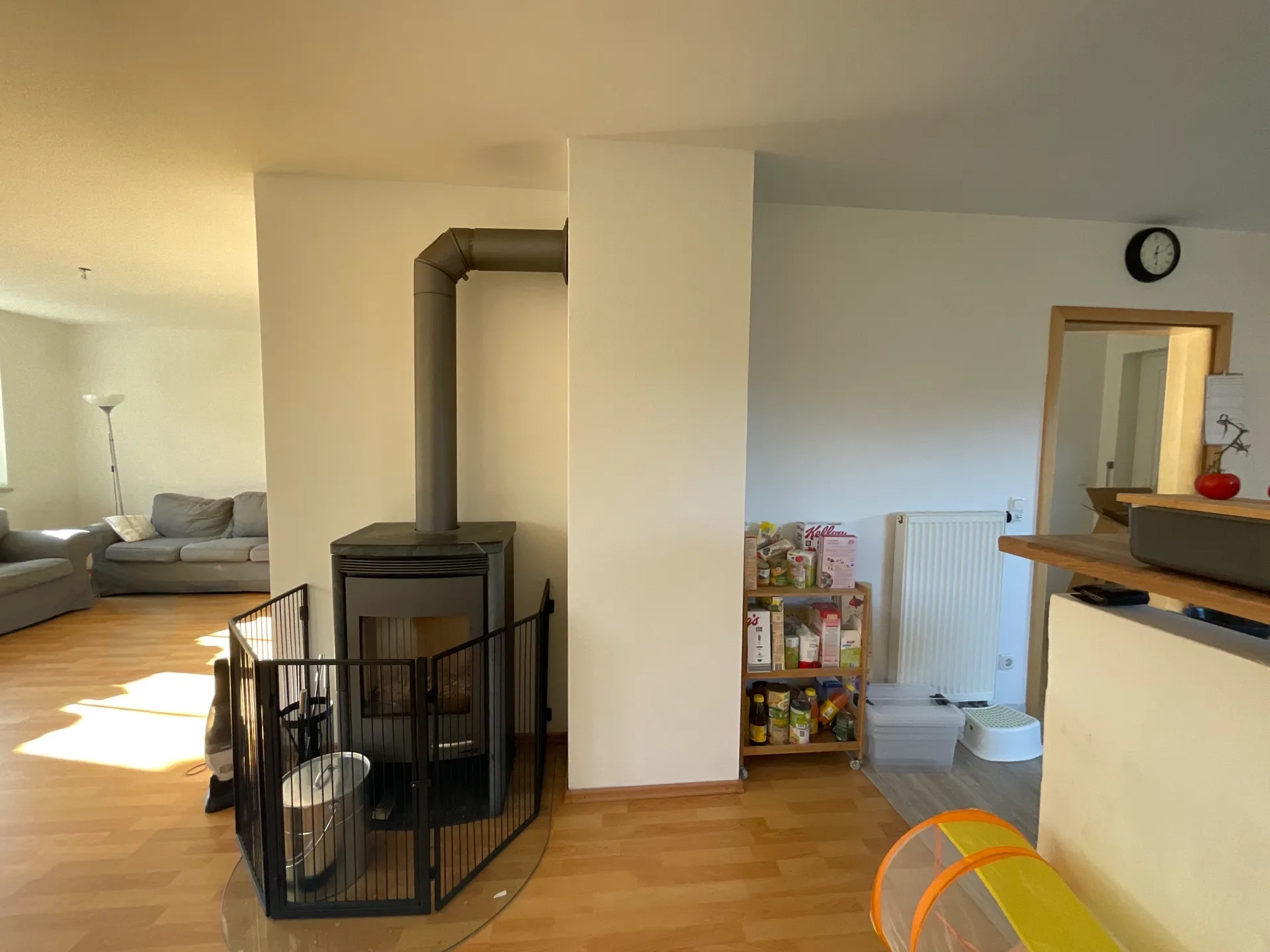 Privatwohnung_Umgestaltung_Wohnzimmer_vorher_01