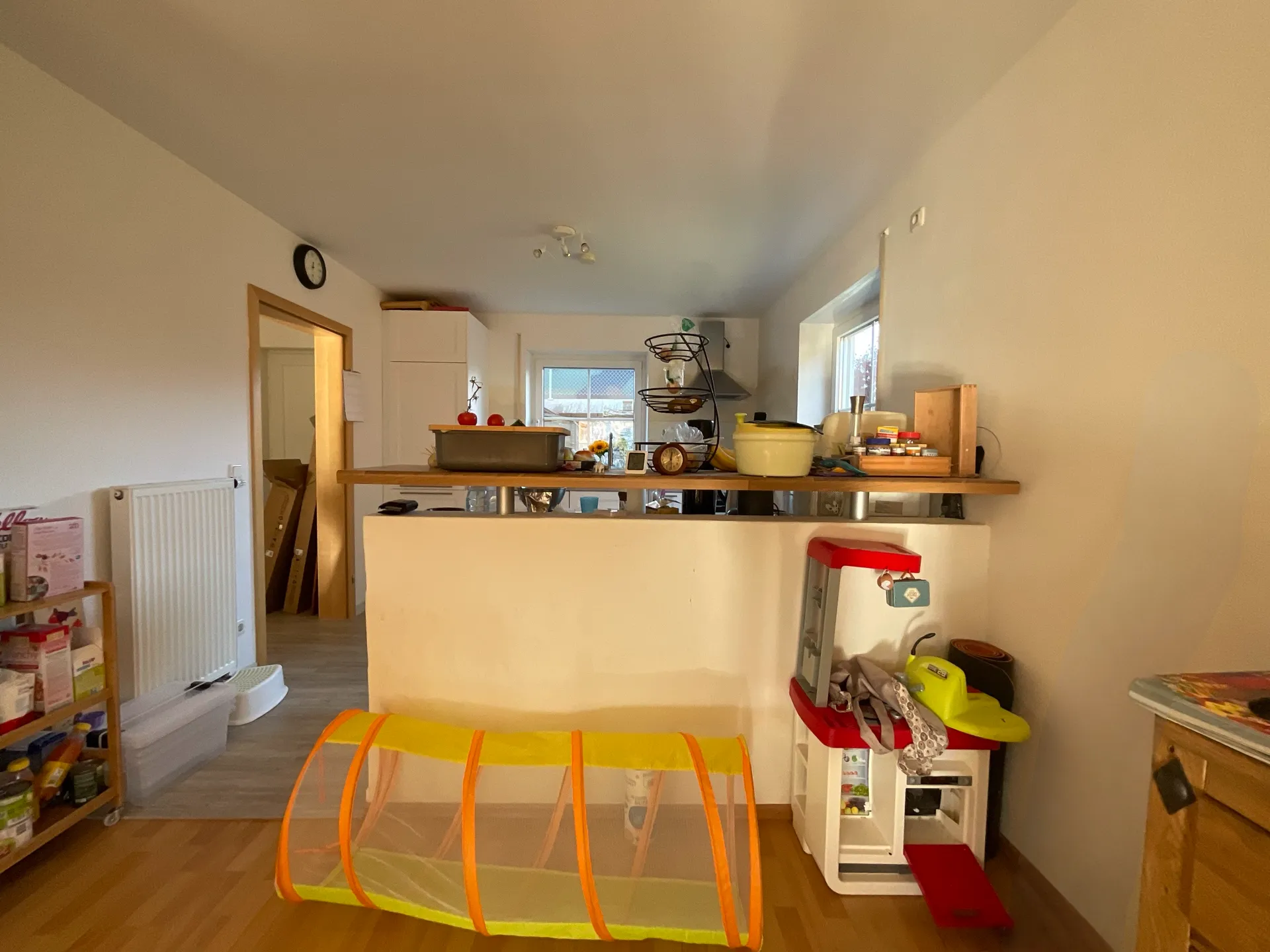 Privatwohnung_Umgestaltung_Wohnzimmer_vorher_02